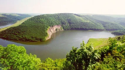 Врублівецький ліс, Врублівці