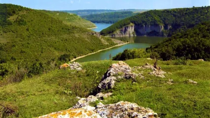 Зображення 7